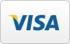 Visa Icon D